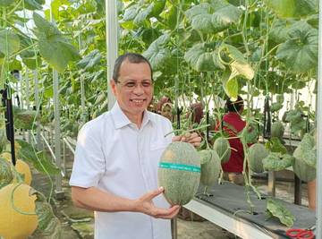 Soft Opening Program Asrama Berdampak, Rektor Panen Melon