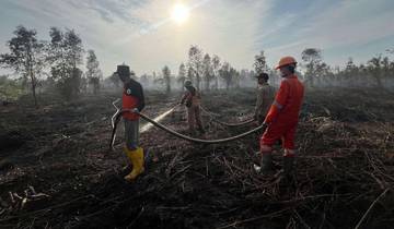 Tata Kelola Lahan Gambut Jaga Muka Air Tanah