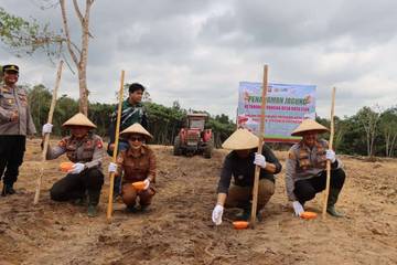 Bupati Ketapang Hadiri Penanaman Jagung Program Ketahanan Pangan 