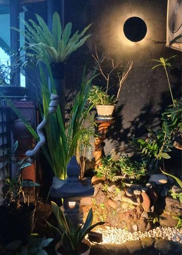 Solusi Berkebun di Lahan Sempit Dengan Vertical Garden