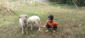 Akhir Pekan Saatnya Bonding Dengan Anak