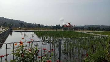 SFV Panembangan: Wisata Hiburan dan Edukatif di Banyumas