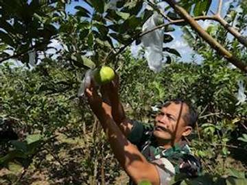 Serka Kusworo: Menjaga Napas Hutan di Kaki Gunung Slamet