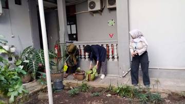 Manfaat Berkebun di Kantor: Meningkatkan Kesehatan dan Kreativitas