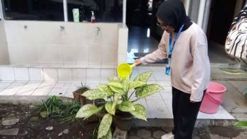 Menumbuhkan Koneksi dengan Alam melalui Berkebun