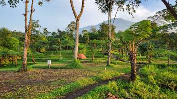 Pesona Bukit Tengtung Baturraden, Surganya Wisata Camping Ekonomis