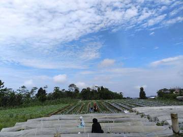 D’LAS Purbalingga, Wisata Alam Asri Penuh Wahana