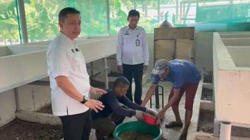 Lapas Purwokerto Panen Magot