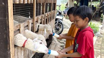 Satyaesa Farm: Pusat Edukasi, Dukung Ketahanan Pangan Lokal