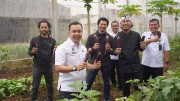 Ade Jinggo Panen Panen Cabai di Lapas Purwokerto