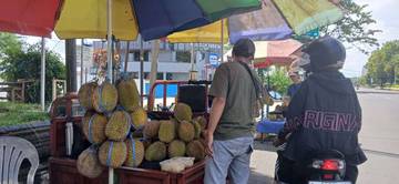 Berburu Durian Tak Perlu Menunggu Puncak Musim