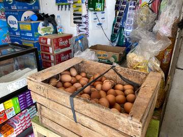 Harga Telur di Purwokerto Stabil Jelang Ramadhan 2026