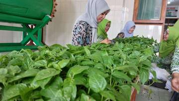 Workshop Tanaman Cabai di Masjid Mujahidin Majenang