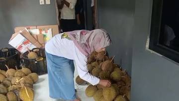 Surga Durian di Banjarnegara, Satu Pohon 15 Rasa