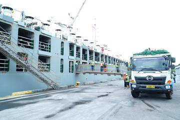 Impor Sapi Perah Dorong Produksi Susu  Nasional