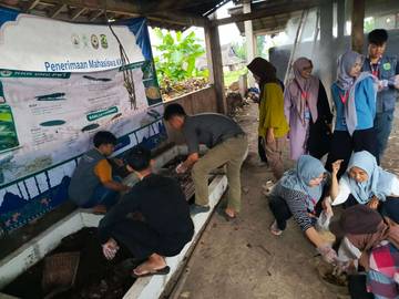 Mahasiswa KKN UNU Purwokerto Perkenalkan Budidaya Maggot