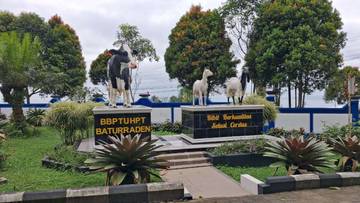 BBPTUHPT Baturraden Optimalkan Lahan dan Populasi Ternak Unggul