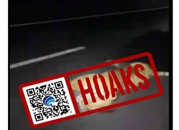 Hoaks Harimau Mati Tertabrak Kendaraan di Tol Pekanbaru-Dumai