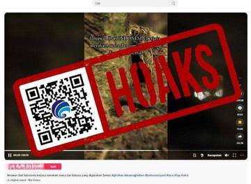 Hoaks Ilmuwan Indonesia Merekam Suara dan Bahasa Semut