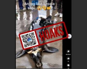 Hoaks Anjing Laut Berkepala Sapi di Bangkalan