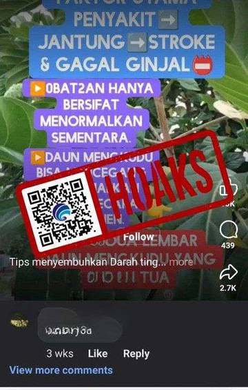 Hoaks Mengkudu Sembuhkan Darah Tinggi Secara Permanen
