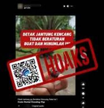 Hoaks Buah Pala-Gula Batu Atasi Jantung Berdebar