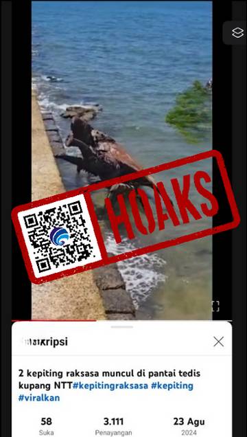 Hoaks Video Kepiting Raksasa Muncul di Pantai Tedis