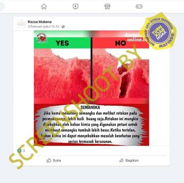 Hoaks Retakan Semangka Akibat Bahan Kimia