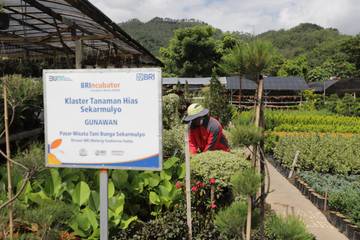 Portofolio Sustainable Finance BRI Tembus Rp796 Triliun