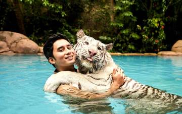 Lebih Susah Ngurus Kucing atau Harimau? Ini Kata Alshad Ahmad