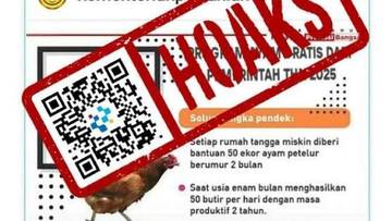 Waspadai Penipuan Program Ayam Petelur Gratis dari Kementan