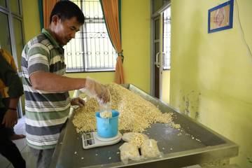 Langkah Gontai Swadaya Kedelai