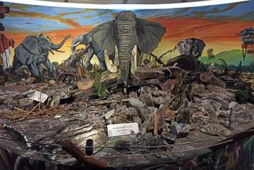 Menyelamatkan Hutan, Rumah bagi Gajah Sumatra