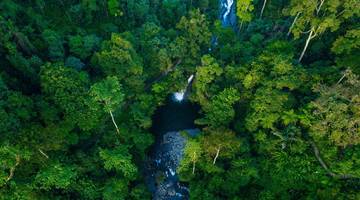 Menakar Sisa Hutan Kita