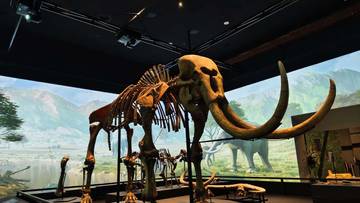 Tiga Kelompok Ini Bisa Masuk Museum Nasional Gratis
