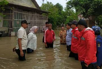 Banjir Rendam 804 Hektare Sawah Tangerang, 29 Hektare Gagal Panen