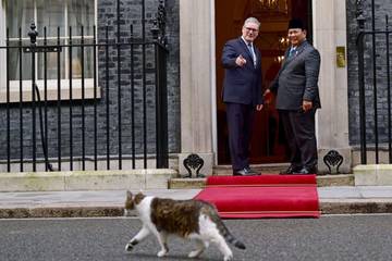 Momen Unik, 'Larry the Cat' Curi Perhatian di Pertemuan Presiden Prabowo–PM Inggris