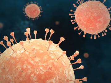 India Dilanda Wabah Virus Nipah, Picu Kewaspadaan