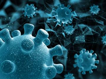 Apa Itu Virus Nipah? Ini Penjelasan dan Gejalanya