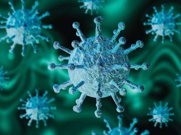 Perhimpunan Dokter Militer Sebut Gejala Awal Virus Nipah 