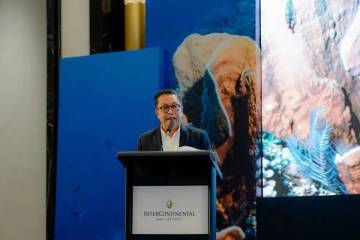 KLH Ingatkan Tekanan Serius Ancam Ekosistem Laut Nasional