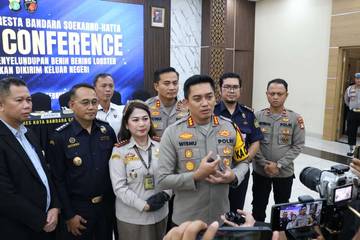 Penyelundupan Benih Bening Lobster Senilai Rp4,28 Miliar Digagalkan