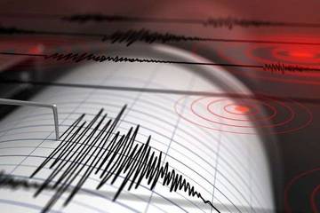 Gempa Magnitudo 2,4 Terjadi di Papua Barat