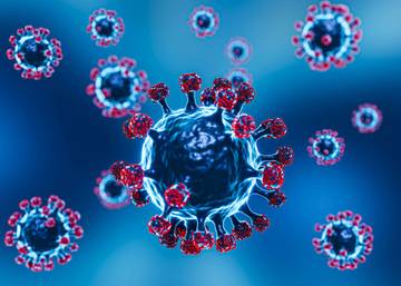 WHO Laporkan Kematian Virus Nipah di Bangladesh