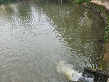 Kebakaran Gudang Kimia BSD Tangsel Cemarkan Sungai Cisadane