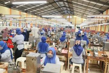 Parlemen Sorot Tajam Pekerja Indonesia Didominasi Lulusan SD 