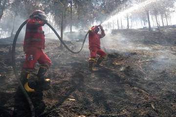 Manggala Agni Intensifkan Pemadaman Karhutla di Riau Kepri