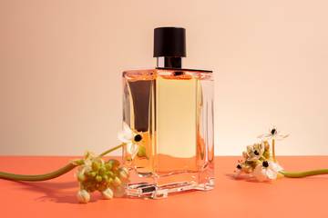 Aroma Wangi Bisa Pengaruhi Karir? Begini Penjelasannya