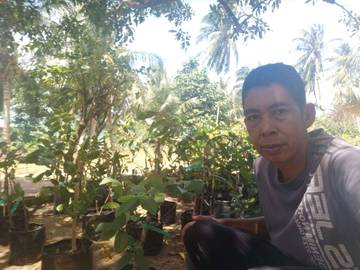 Hobi Berkebun Jadi Sumber Cuan