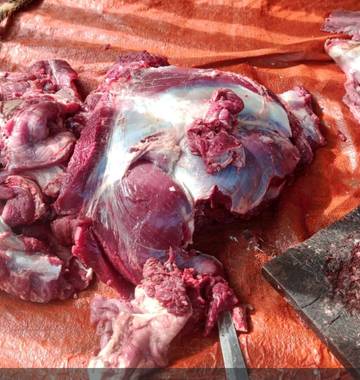 Warga Ceruk Manfaatkan Medsos Berjualan Daging Sapi
